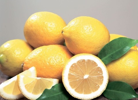 قیمت لیمو سنگی شیراز با کیفیت ارزان + خرید عمده
